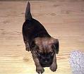 20041218-Munter