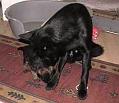 20041221-upptacksfard-1