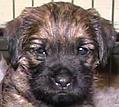 20041224-Munter