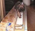 20050105-Munter