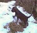 20050105-Upptacksfard-1