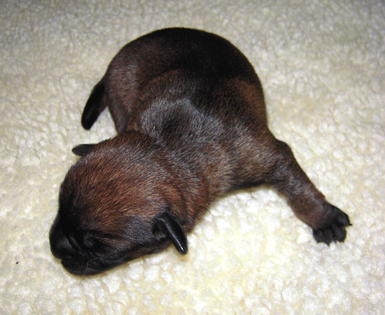20090120-3-tik.jpg