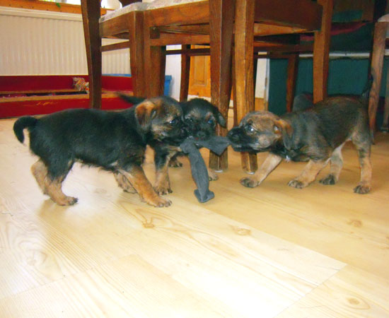 20090308-Dragkamp.jpg