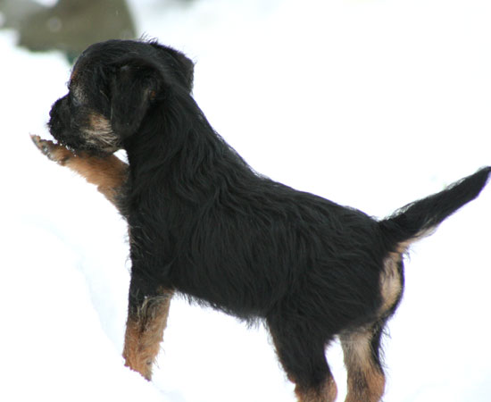 20090313-Gefjyn-1.jpg