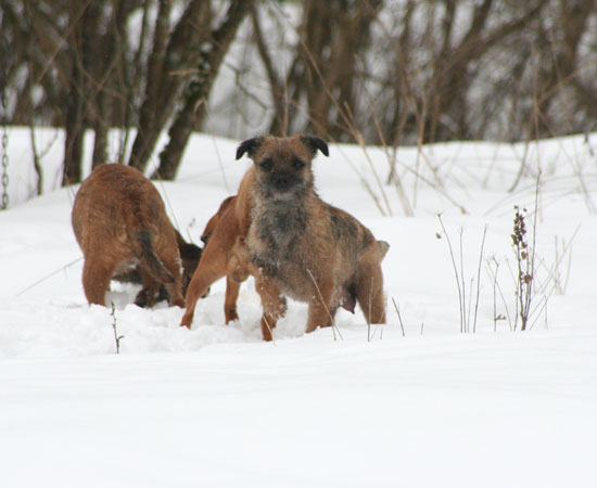 20090313-Sot.jpg
