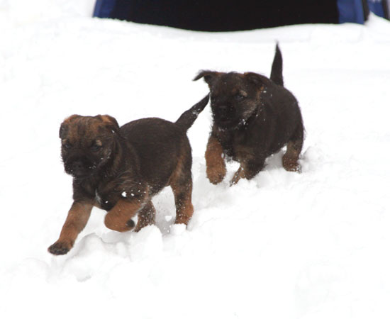20090313-Storm-&-Gefjyn.jpg
