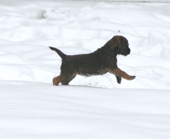 20090313-Storm-1.jpg