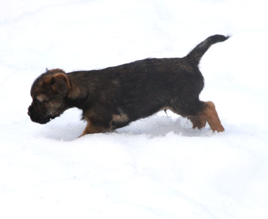 20090321-Erik-Långbåge.jpg