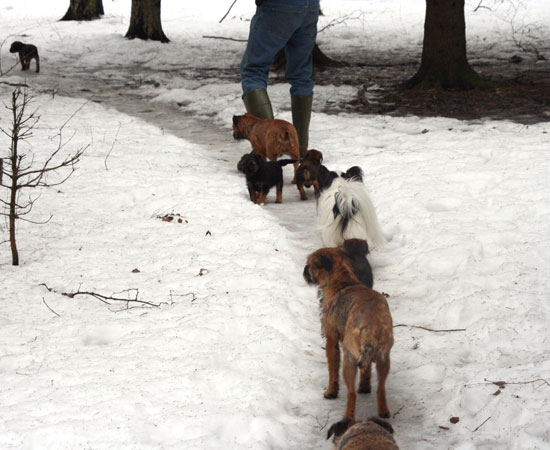 20090321-Hemlängtan.jpg