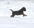20090313-Storm-1