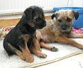 20090320-Gefjyn-&-mamma-Sot
