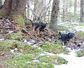 20090321-Storm-&-Gefjyn