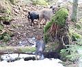 20090321-hej-Ã¥-hÃ¥.jpg